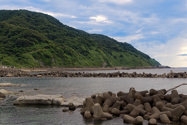テトラポッドと緑の山が広がる穏やかな海沿いの風景